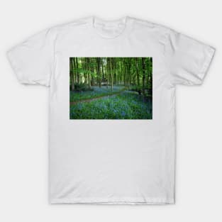 Bluebell Forest, East Sussex T-Shirt